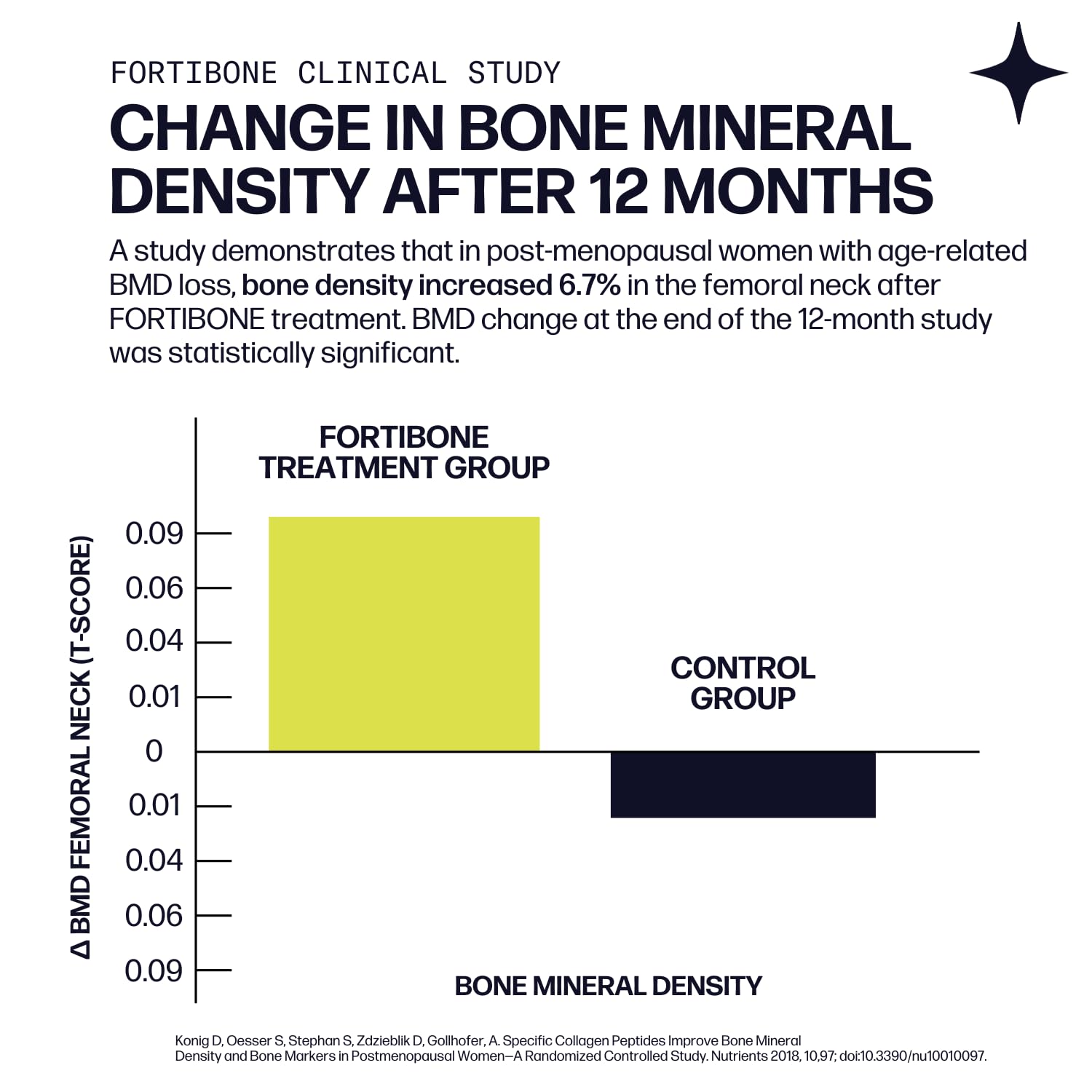 Fortibone daily-use setup on display for routine planning