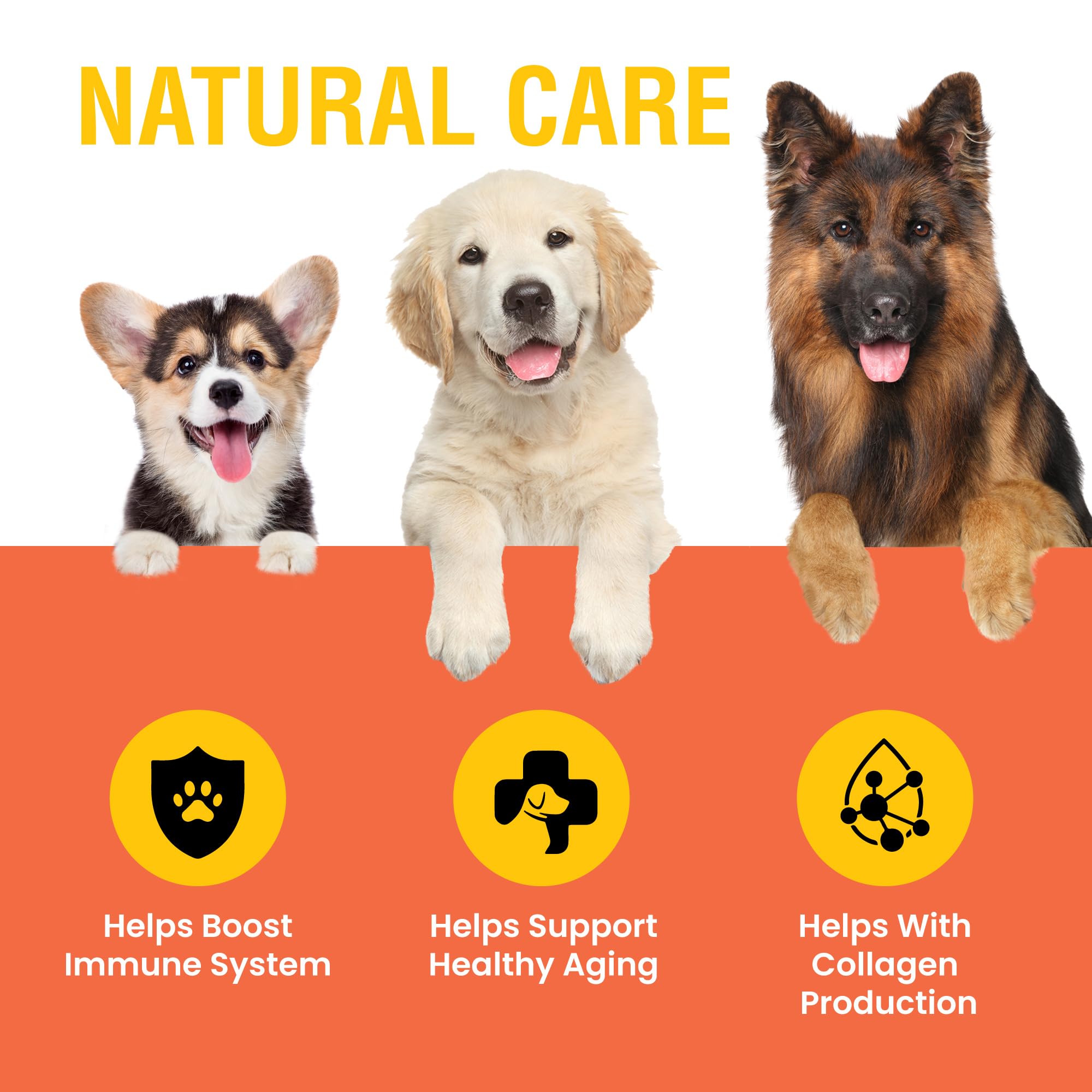 Special Breed Vitamin C for Dogs label closeup highlights natural ingredients