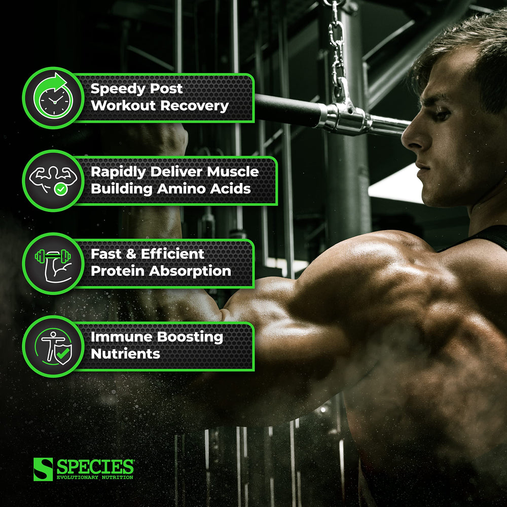 Species Nutrition Isolyze pumpkin spice mixed shake glass showcases rich flavor