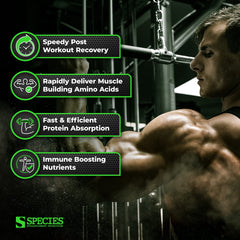 Species Nutrition Isolyze pumpkin spice mixed shake glass showcases rich flavor