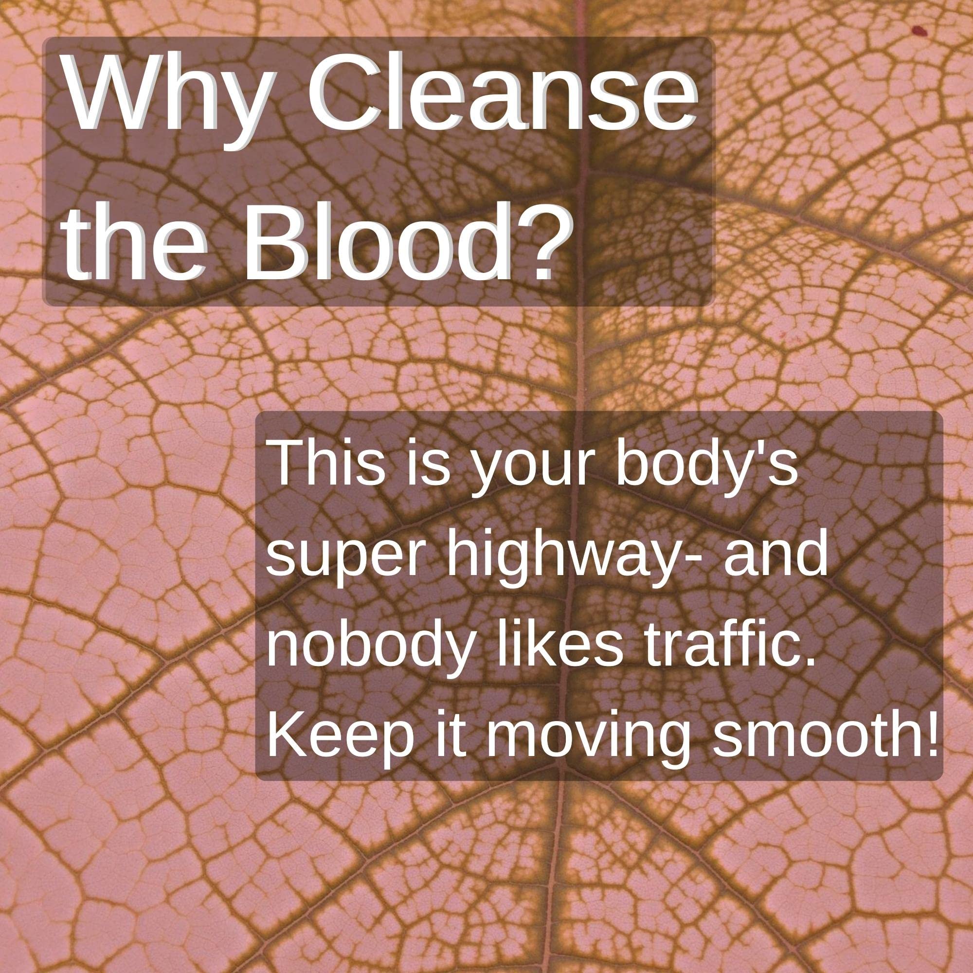SpeedyVite Blood Lifeboost measuring scoop beside loose leaf blend.