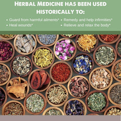 Immunity-focused SpeedyVite Blood Lifeboost Tea image suggests daily wellness support