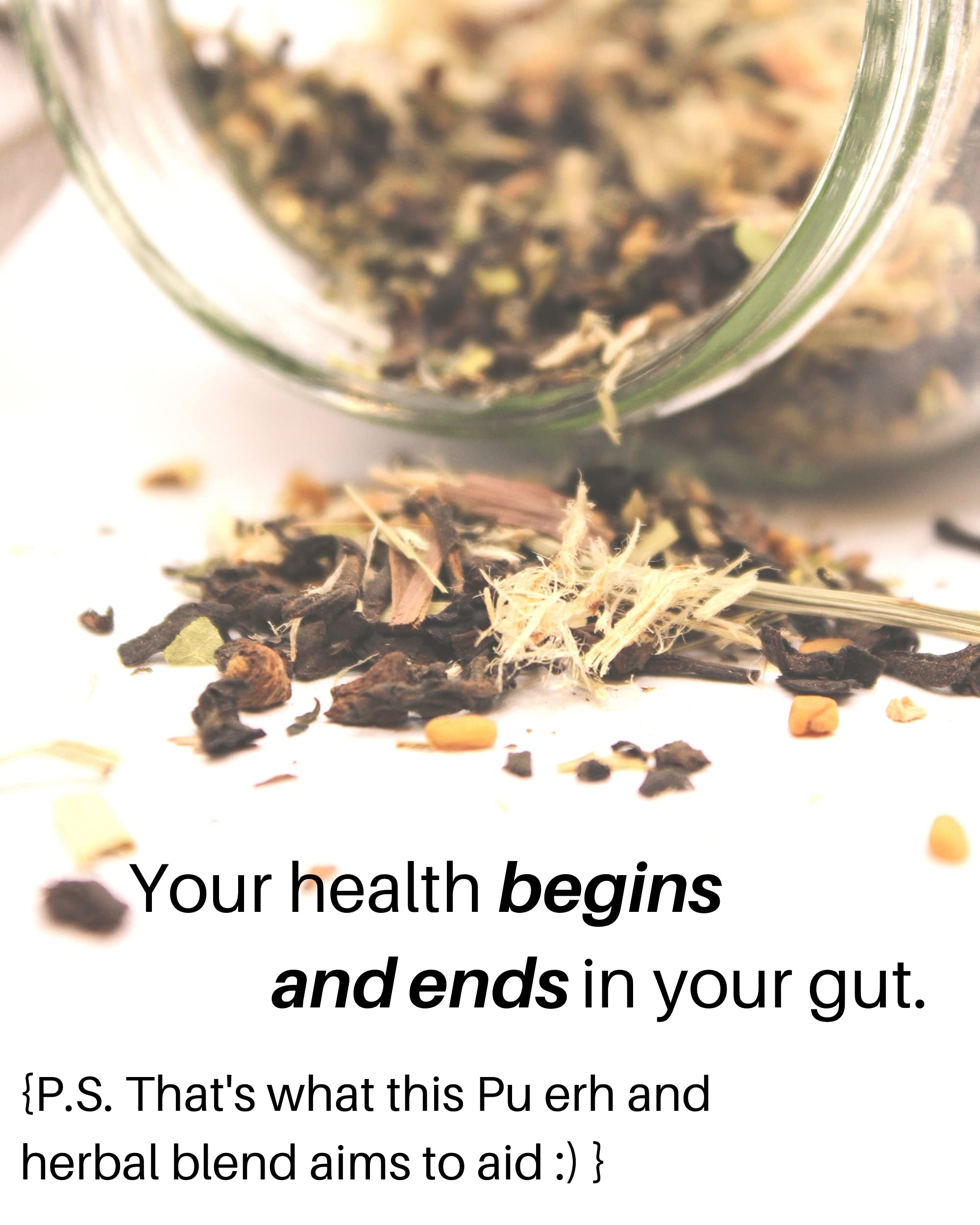 SpeedyVite tea brew-steeping image shows a cozy moment for digestion.