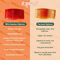 Spoonful Salmon Squeeze easy mixing into pet meals.