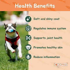 Spoonful Salmon Squeeze suitable for dogs and cats of all sizes.