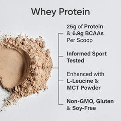 Sports Research whey protein smoothie in Dutch Chocolate flavor boosts daily protein intake.