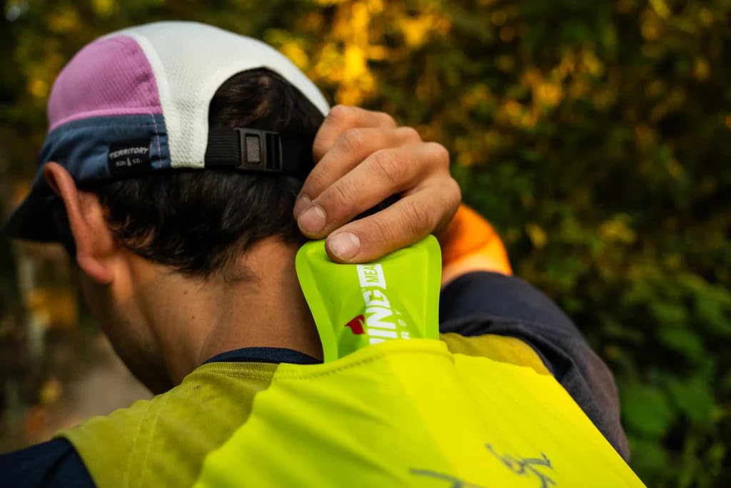 Spring Energy Matcha Berry Endurance Meal serve-ready image conveys quick, plant-based fueling.