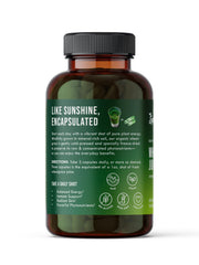 Sproutman wheatgrass juice powder closeup showing raw organic nutrients and enzymes.