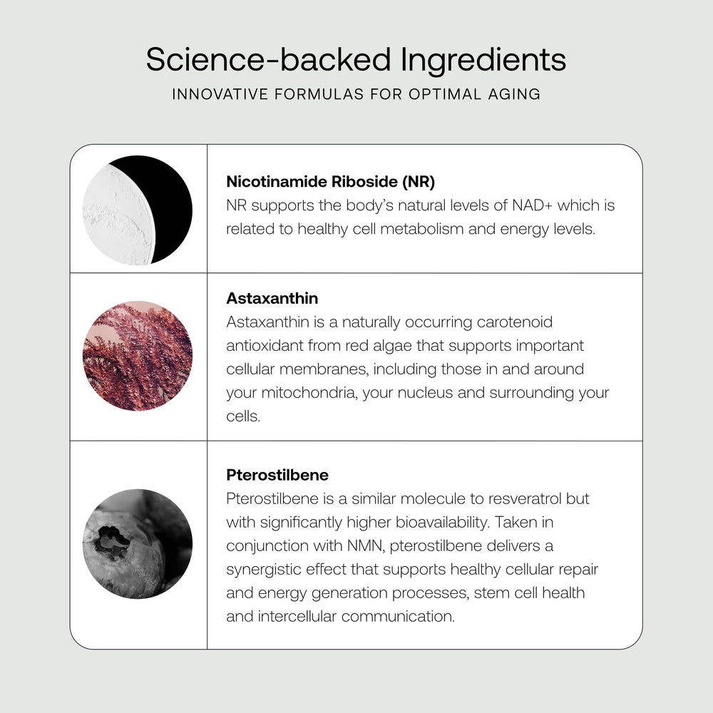 SRW Cel² NR Nourishment liposomal delivery system highlight