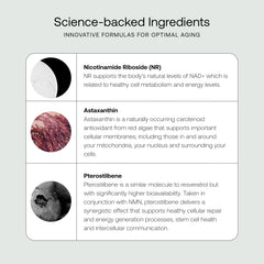 SRW Cel² NR Nourishment liposomal delivery system highlight