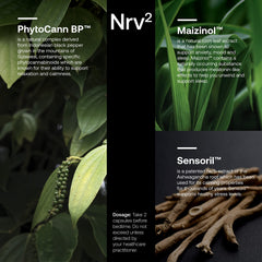 SRW Nrv² Calm packaging highlights recyclable canister and sustainability