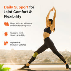 SS Sleeve Stars vegan, non-GMO formula with a clean label appeal