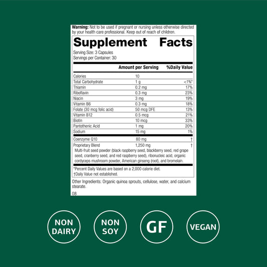 Standard Process B Vitality capsules shown, highlighting a B vitamin blend for daily wellness.