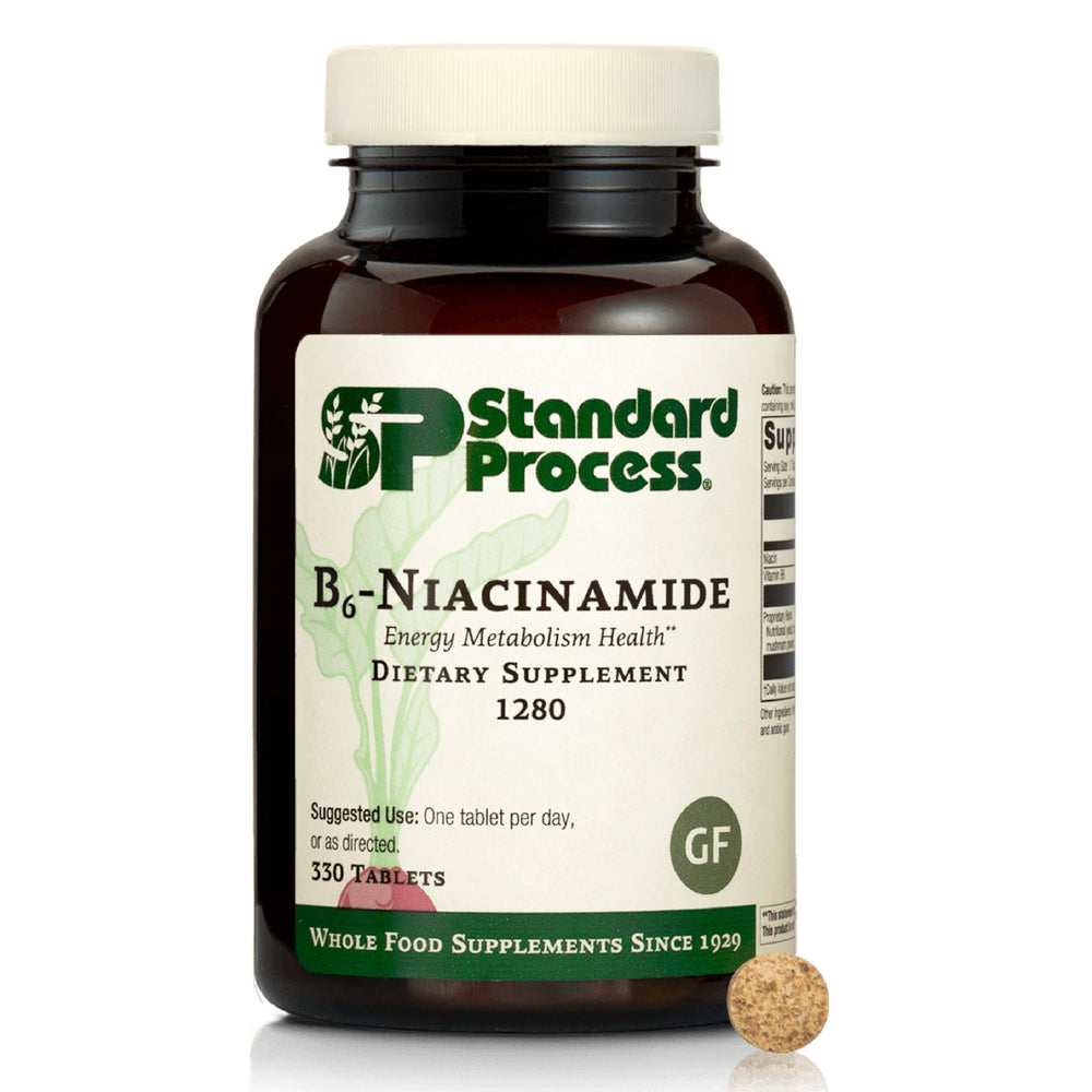 Standard Process B6-Niacinamide energy bottle for daily metabolism support and nervous system wellness