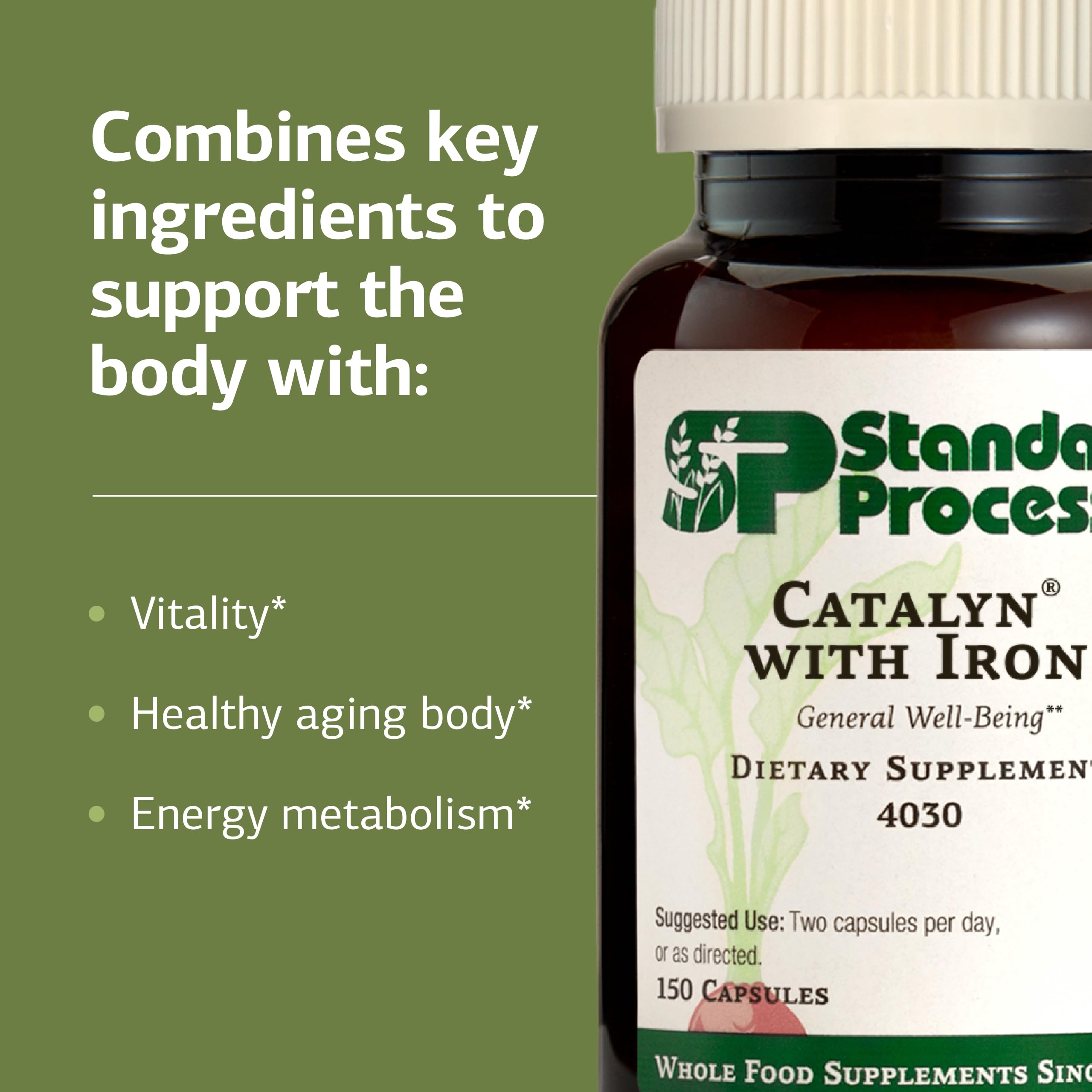 Standard Process brand logo signaling a trusted whole-food supplement.