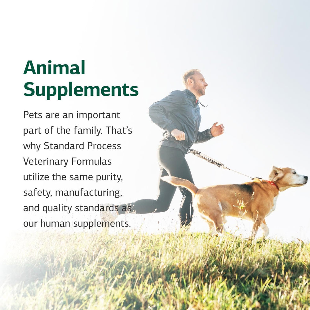 Dog enjoying a meal with the cardiac support supplement