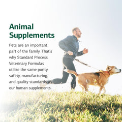 Dog enjoying a meal with the cardiac support supplement