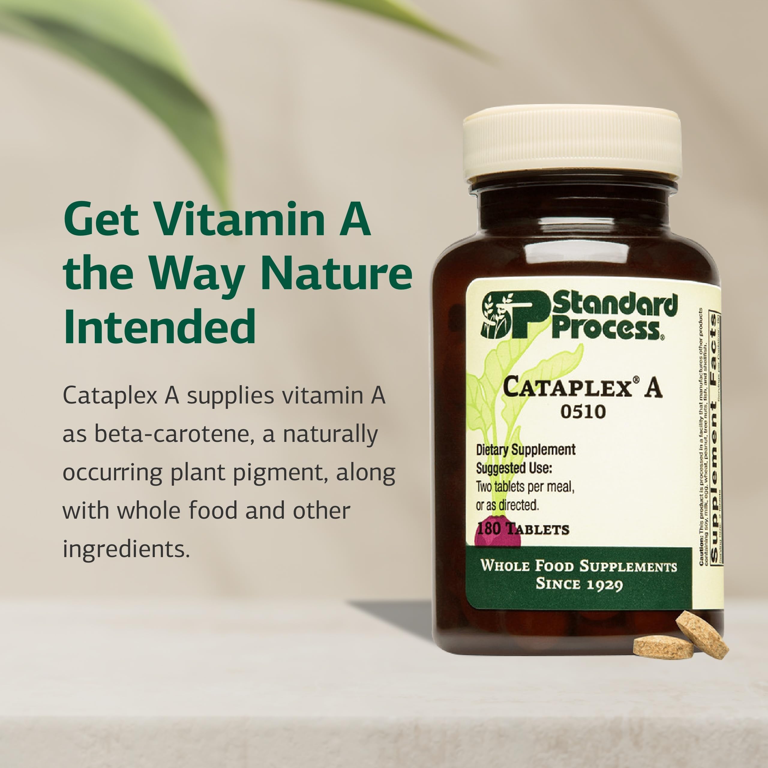 Standard Process Cataplex A bottle front view for easy daily use.