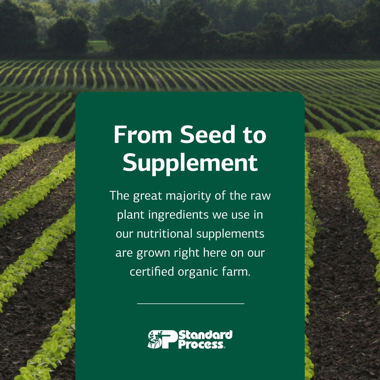 Immunity-focused visuals for Cataplex A-C-P imply daily vitality and nutrient delivery.