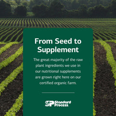 Immunity-focused visuals for Cataplex A-C-P imply daily vitality and nutrient delivery.