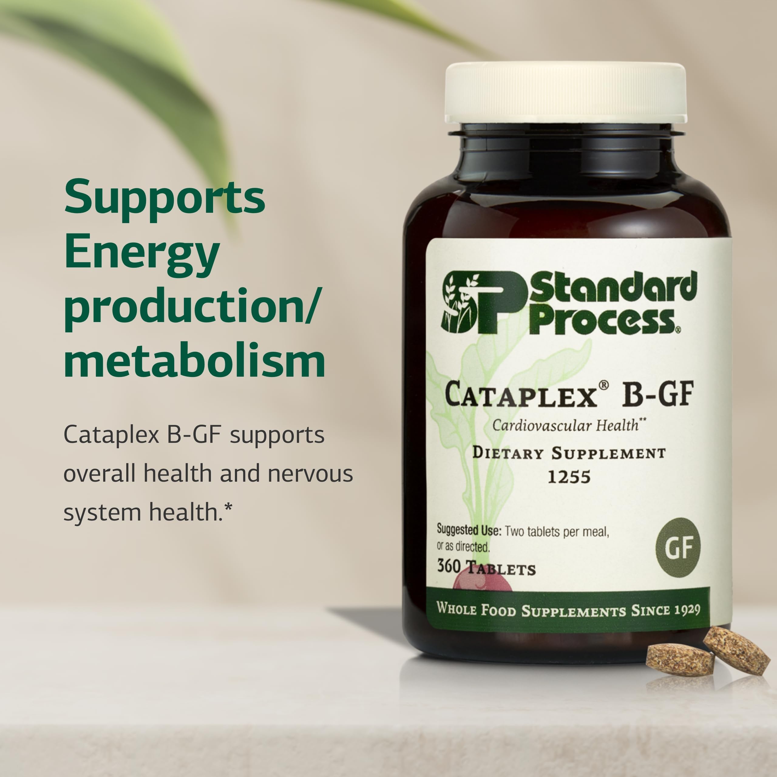 Standard Process Cataplex B-GF label closeup emphasizing whole-food approach.