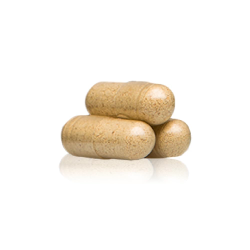 Standard Process Gastro-Fiber carrot fiber RG-I close-up emphasizes prebiotic support.