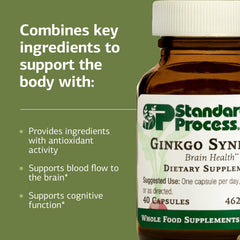 Standard Process Ginkgo Synergy buckwheat flour component image highlighting whole-food base