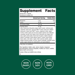 Standard Process Glucosamine Synergy capsules presented for connective tissue support.
