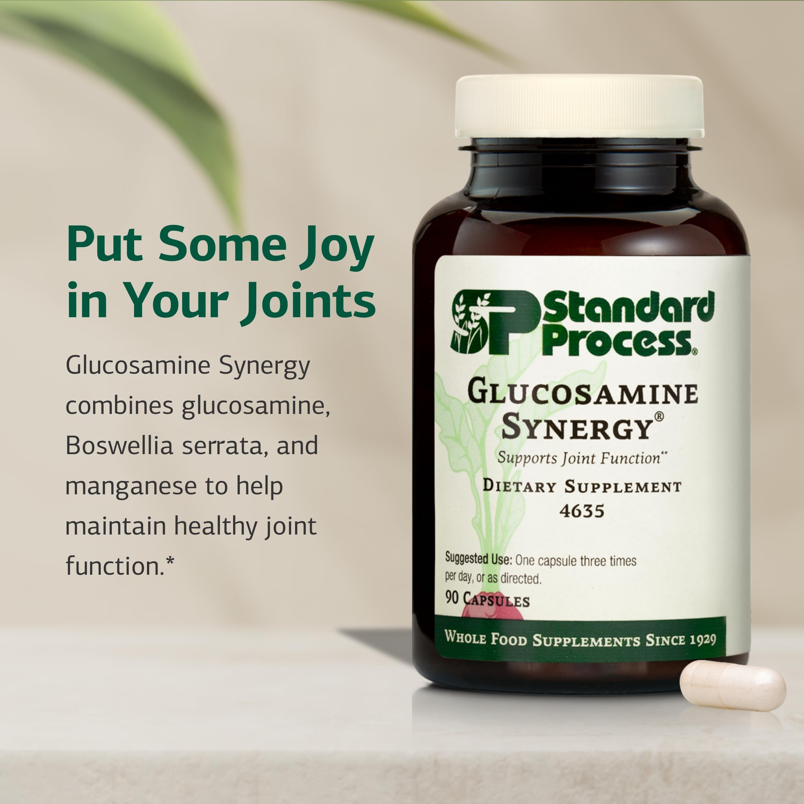 Standard Process Glucosamine Synergy label highlights glucosamine and boswellia serrata for joint function.