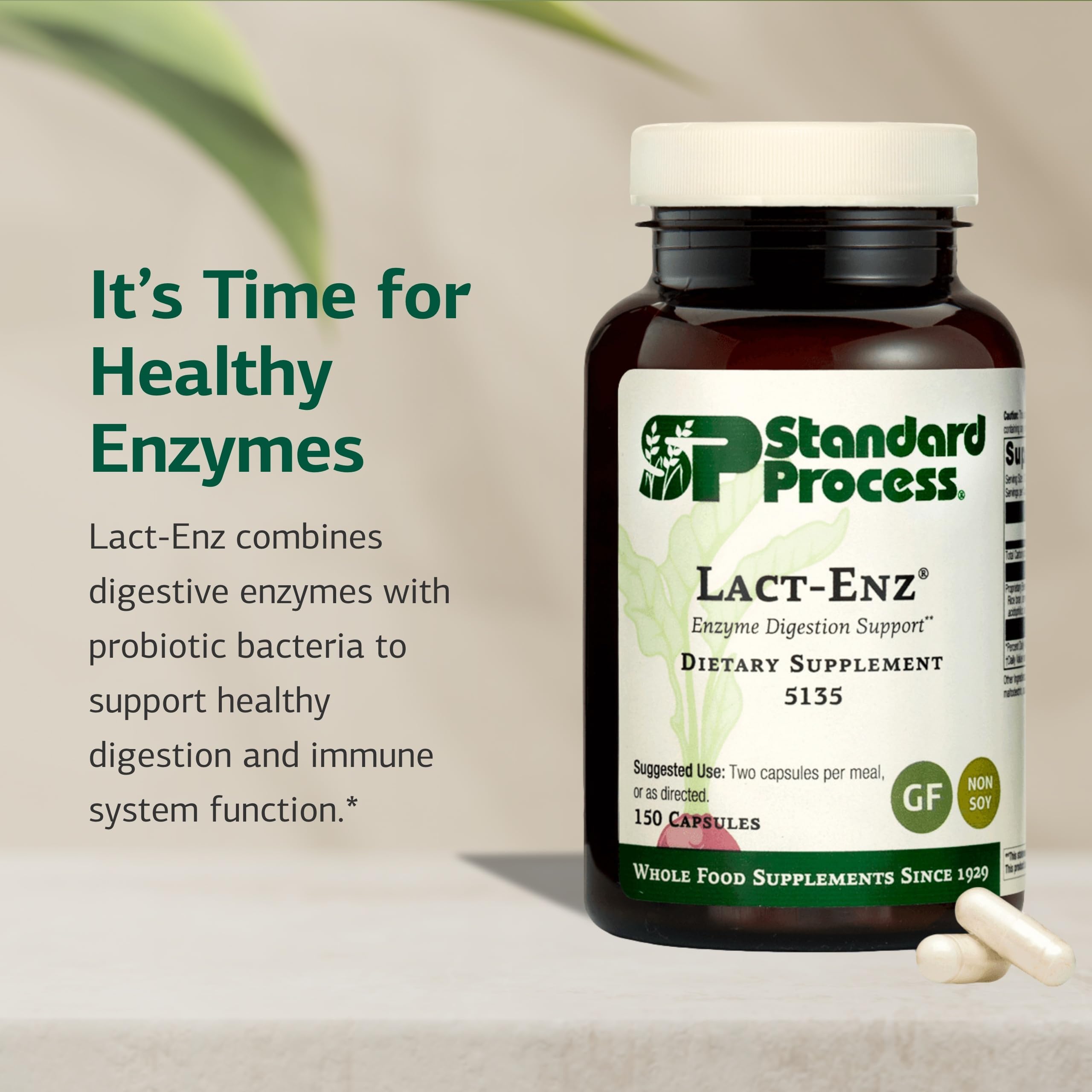 Standard Process Lact-ENZ tablets for digestive support during meals.