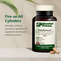 Neuroplex capsules close-up highlighting vitamins B6, iron, and zinc.