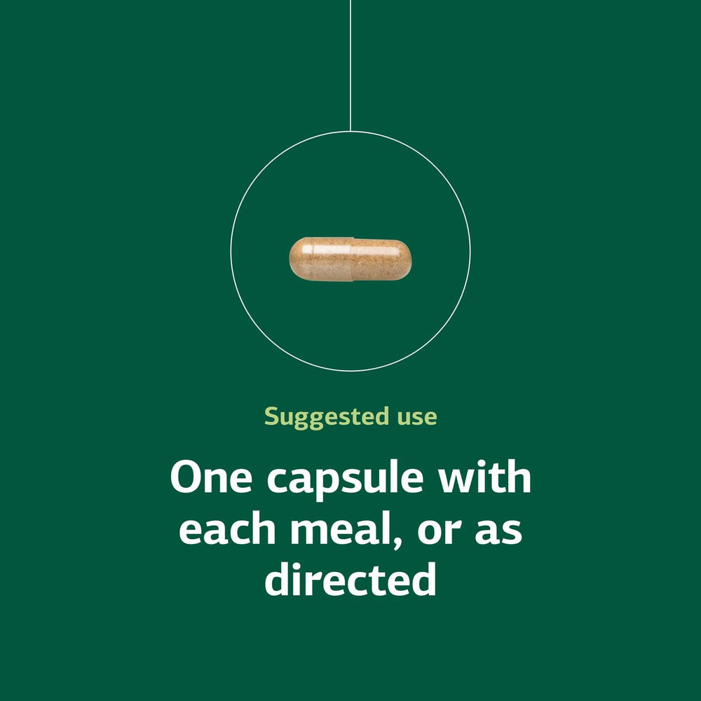 Standard Process Orchex ingredient visuals featuring niacin and vitamin B6.