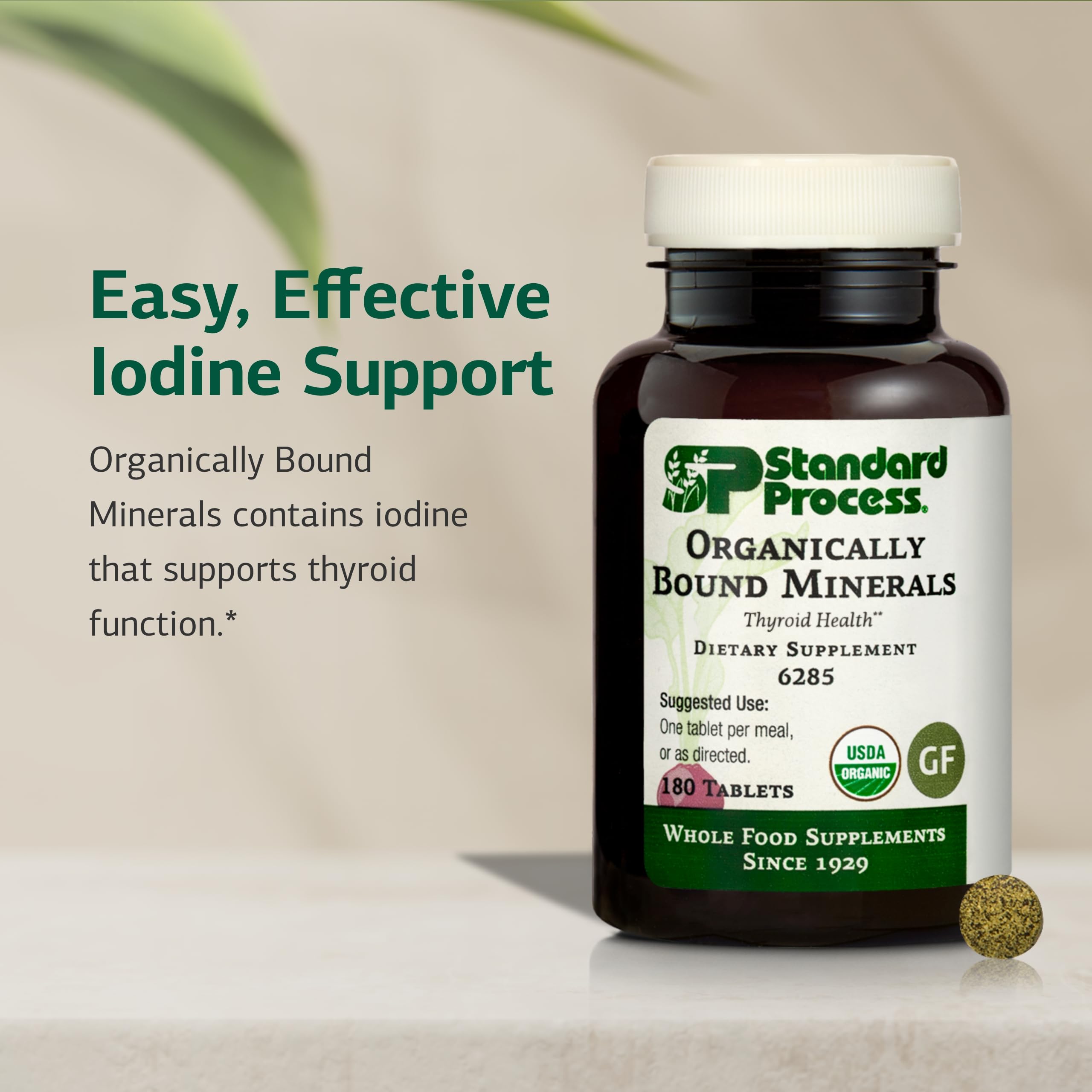 Standard Process Organically Bound Minerals tablets image, showcasing kelp-derived iodine in a plant-based formula.