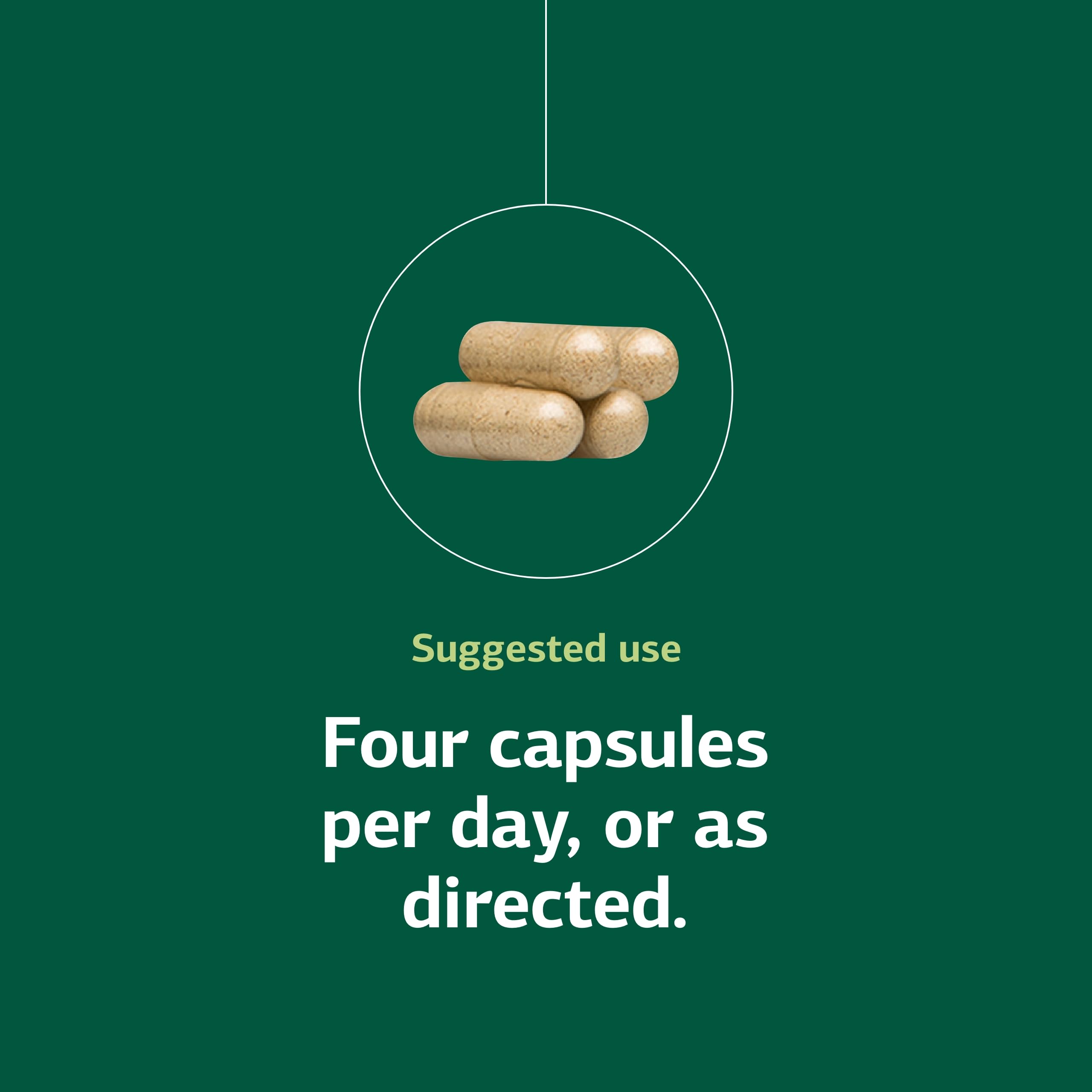 Protefood dosage illustration shows four capsules per day for daily protein metabolism support
