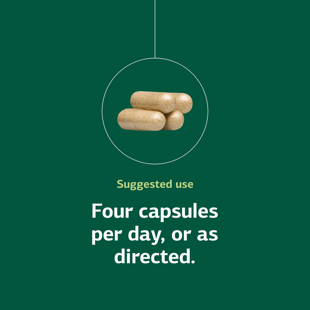 Protefood dosage illustration shows four capsules per day for daily protein metabolism support