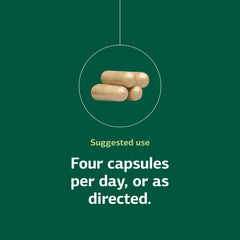 Protefood dosage illustration shows four capsules per day for daily protein metabolism support
