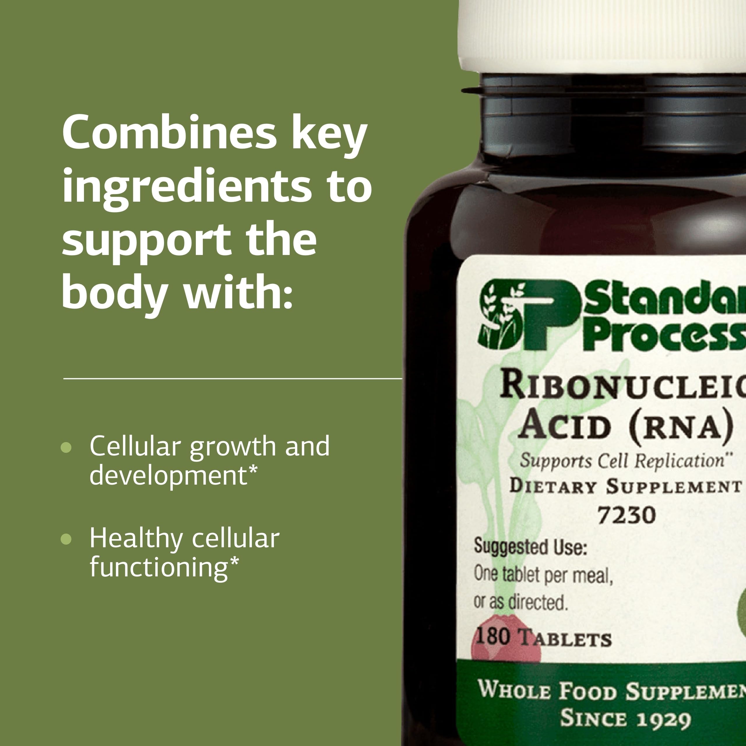 Standard Process RNA container and scoop demonstrate easy daily dosing.