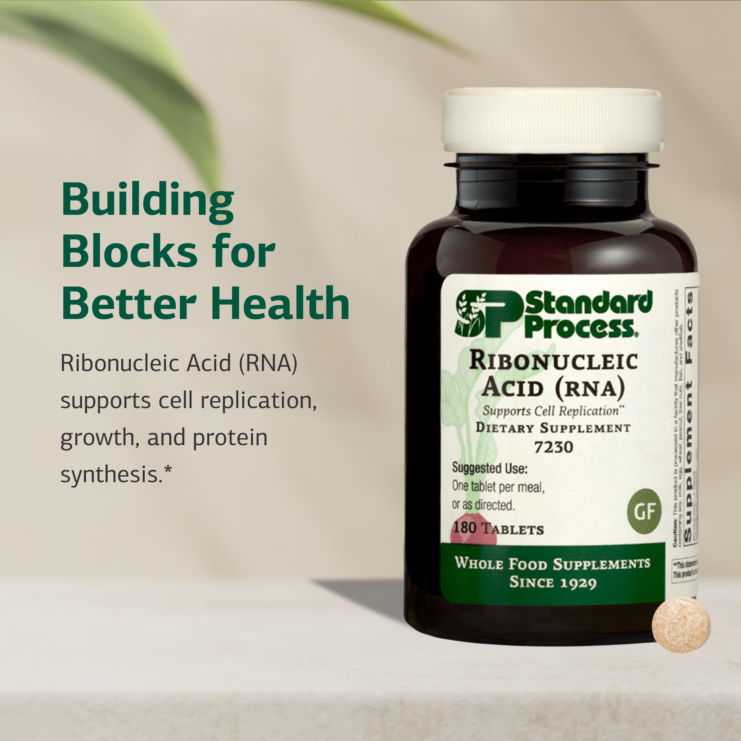 Standard Process RNA tablets with meals promote holistic cell growth.
