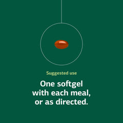 Standard Process Soybean Lecithin ingredient panel highlights essential fatty acids