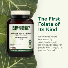 Front label of Standard Process Folate showing vegetarian gluten-free attributes