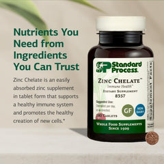 Standard Process Zinc Chelate tablets close-up emphasizing zinc source and skin support.