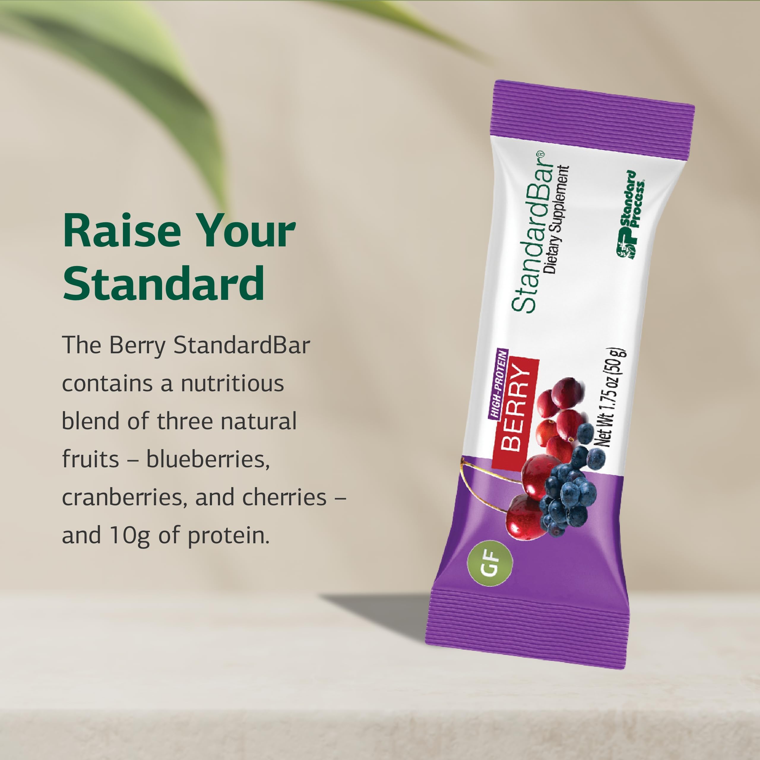 On-the-go Standard Bar, a portable protein snack