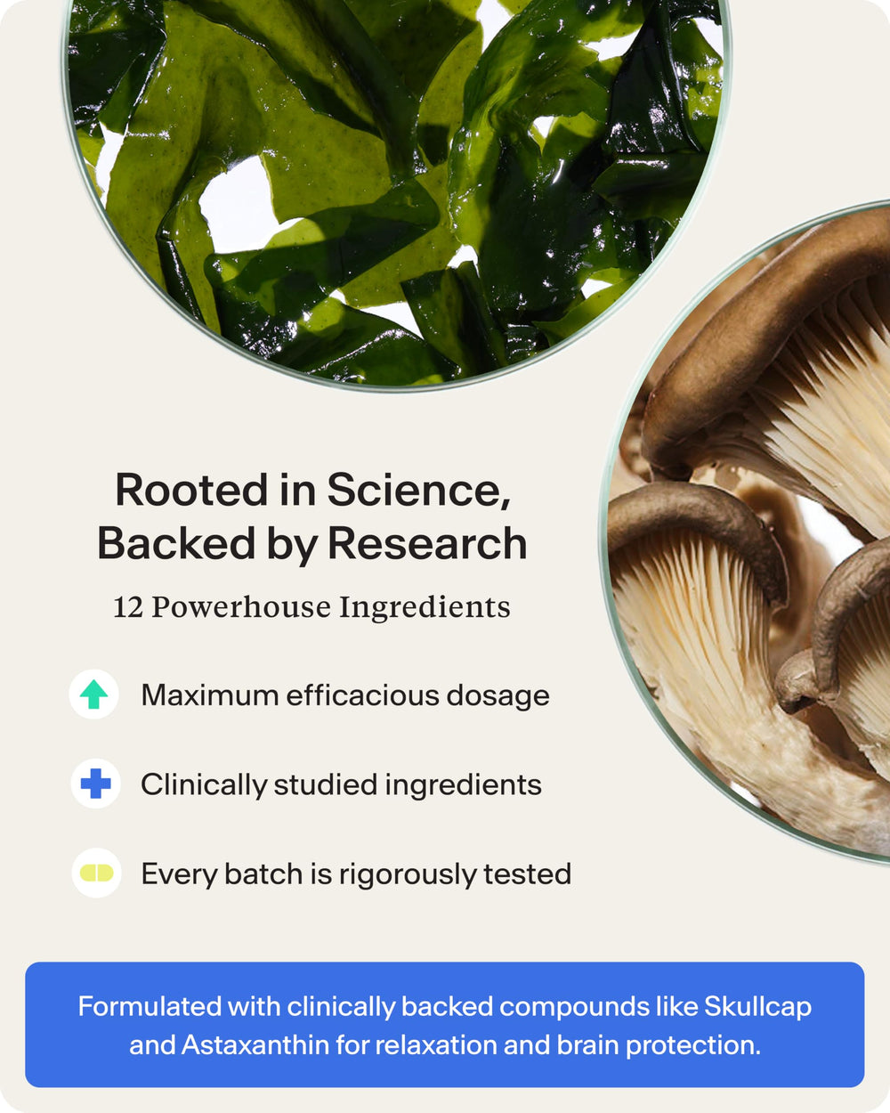 STASIS Nighttime packaging box emphasizing vegan and non-GMO formula