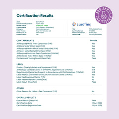 Stay-Well Naturals GLP-1 daily routine image promoting mindful meals.