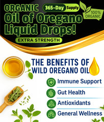 Steam-distillation process for oregano oil reveals clean aroma and potency