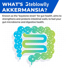 Steblowlly daily digestive routine featuring two capsules per day