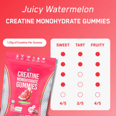 SteelFit Creapure Gummies in pack show compact on-the-go fitness support.