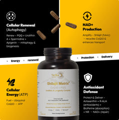 Stellar Health Clinical Mitochondrial Complex capsules close-up ready for daily use.