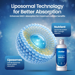 STELLAR Liposomal NAD+ bottle with glass pour supports routine.