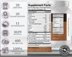 Stellar Labs vegan protein with BCAA blend may support daily recovery and energy.